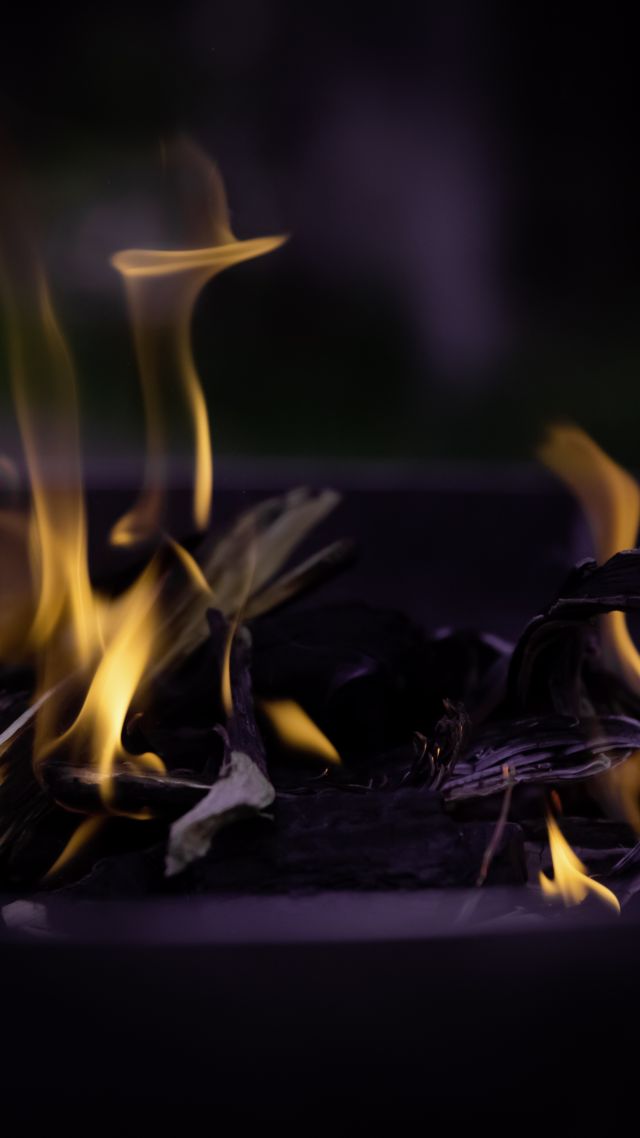 Огонь, пламя, макро, костер, Fire, flame, macro, bonfire (vertical)