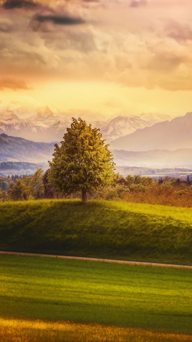 Швейцария, 4k, 5k, Альпы, горы, луга, деревья, Switzerland, 4k, 5k wallpaper, 8k, Alps, mountains, meadows, trees (vertical)