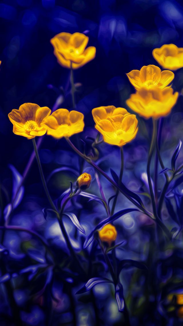 лютики, 4k, 5k, цветы, желтый, фиолетовый, Buttercups, 4k, 5k wallpaper, flowers, yellow, purple (vertical)