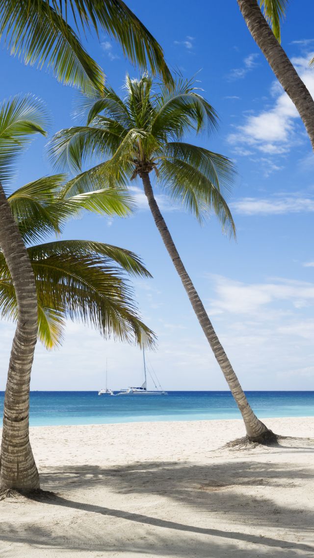 Ямайка, 5k, 4k, Карибы, пляж, пальмы, небо, путешествия, туризм, Jamaika, 5k, 4k wallpaper, The Caribbean, beach, palms, sky, travel, tourism (vertical)