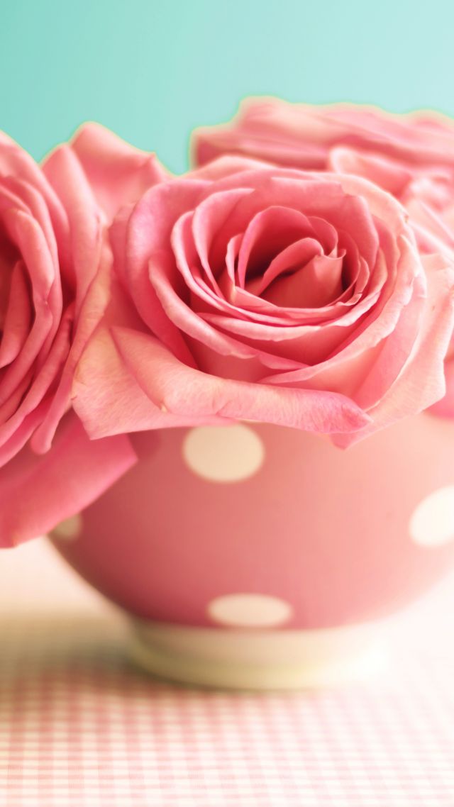 Розы, 5k, 4k, 8k, цветы, розовый, кружка, Roses, 5k, 4k wallpaper, 8k, flowers, pink, mug (vertical)