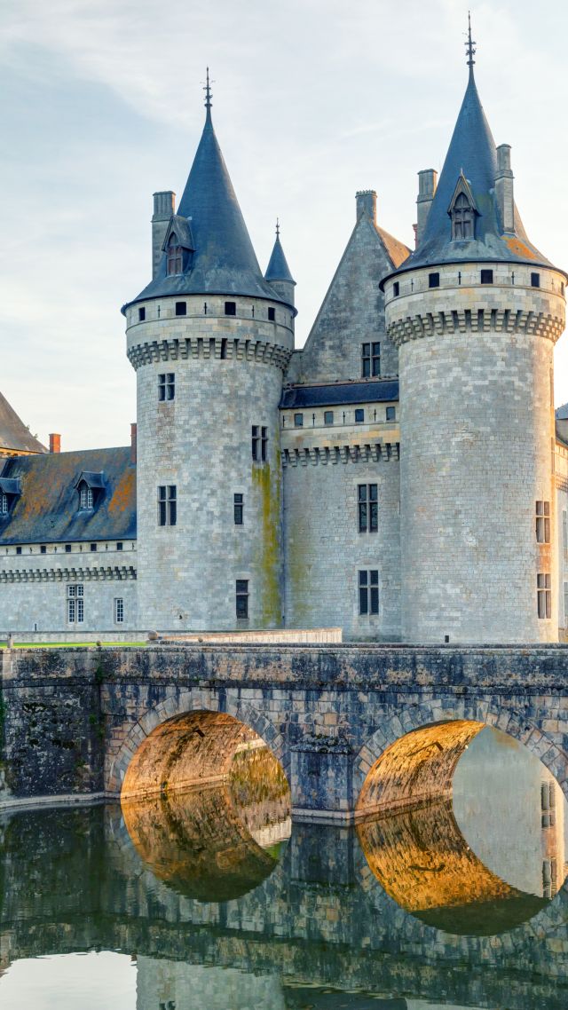 Шато де Сюлли-сюр-Луар, Франция, замок, путешествия, туризм, Chateau de sully-sur-loire, France, castle, travel, tourism (vertical)