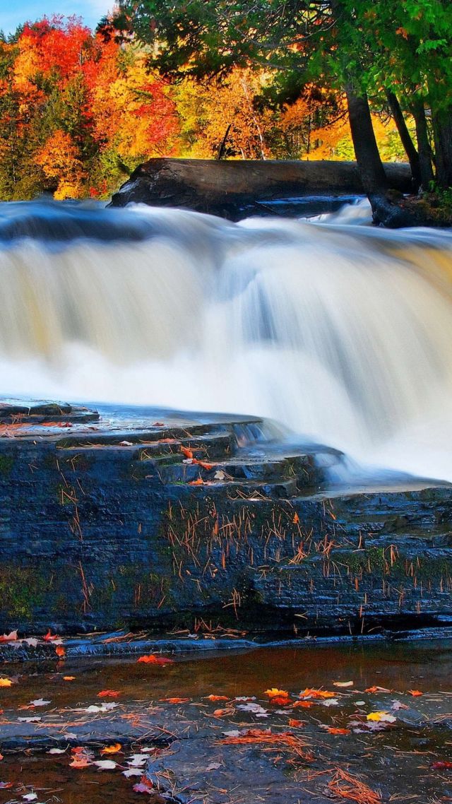 лес, 5k, 4k, речка, водопад, осень, forest, 5k, 4k wallpaper, river, waterfall, autumn (vertical)