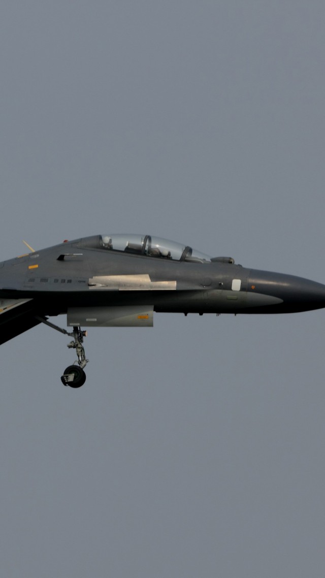 Шенянг Г-11, КНР армия, боевой самолет, Кнр, Shenyang J-11, China army, fighter aircraft, air force, China (vertical)