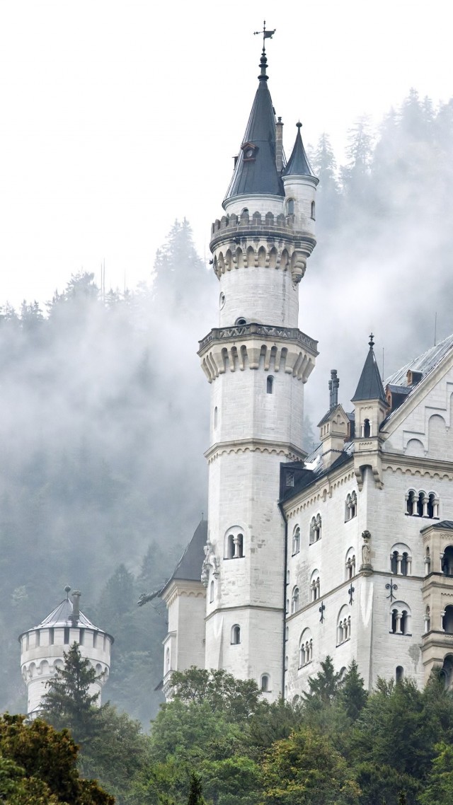 Нойшванштайн, замок, германия, лес, деревья, дым, Neuschwanstein castle, Germany, forest, trees, smoke (vertical)